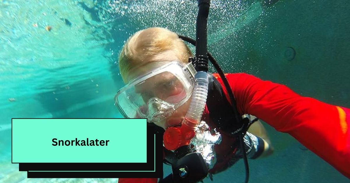 Snorkalater – Lets Learn!